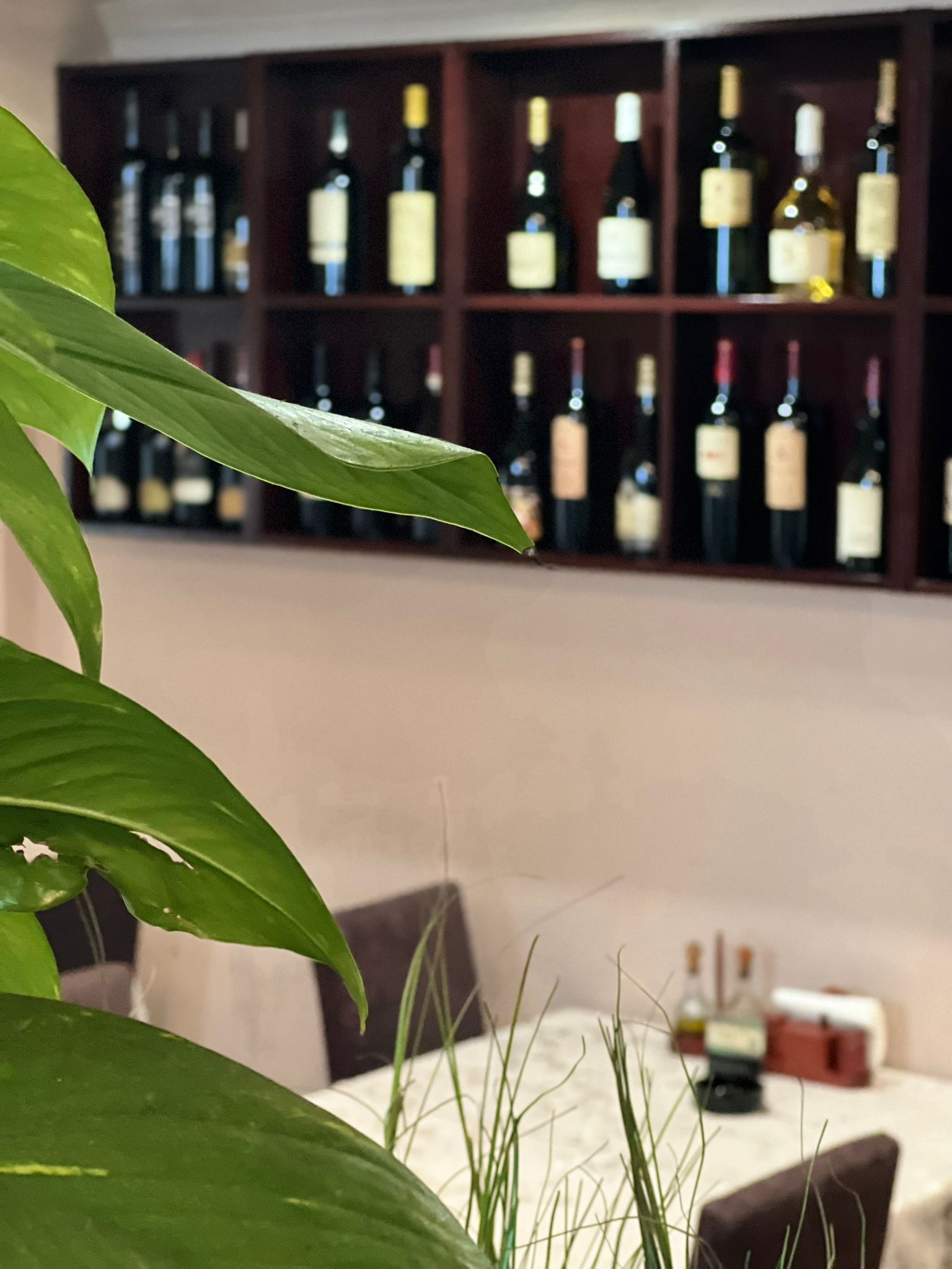 Vinska karta i enterijer